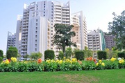 Parsvnath Exotica Apartment on Rent in Sector 53 Gurugram