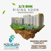 flats for sale in noida extension - ACE AQUACASA