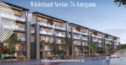 Whiteland Low rise floors Sector 76 Gurgaon