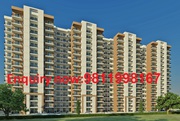 Godrej Projects Gurgaon Sector 79