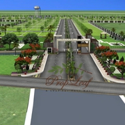 Plots in OMR