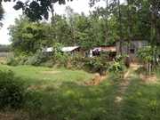 @Rs 32 per sqr feet ,  4 bigha commercial cum agri Land for sale 
