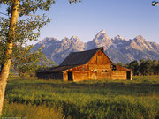 Raja Property (PRITHVI211F)