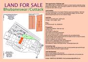 25520 sqft LAND FOR SALE NEAR OCEN WORLD & AMRAPALLI RESORT